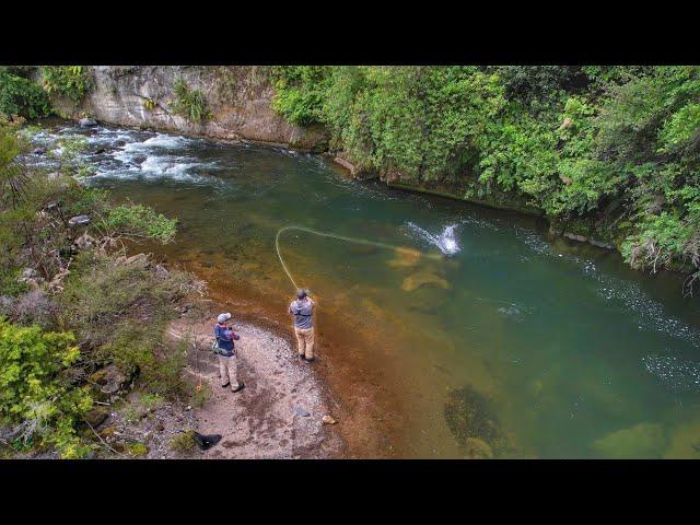 This River is Incredible, Big Fish Everywhere.