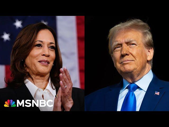 'A tough woman scares Trump': Sen. Warren relishes seeing Harris take on Trump