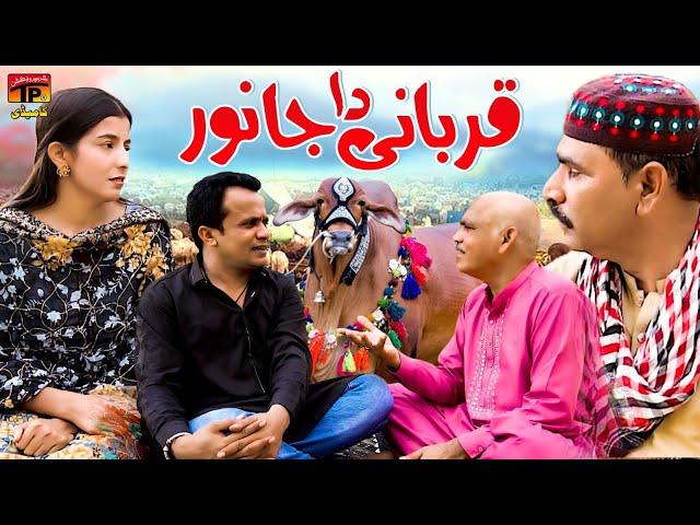 Qurbani Da Janwar | Akram Nizami | TP Comedy