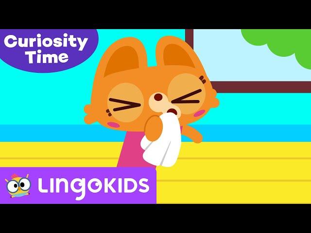 ACHOO! WHAT IS A SNEEZE?  | Curiosity Coach by Lingokids