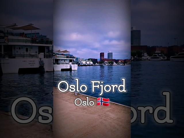 A short view of Oslo Fjord in Oslo, Norway,  #short #shrots #shortvideo