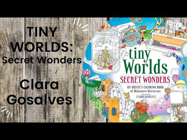Tiny Worlds: Secret Wonders - Clara Gosalves  //Adult Colouring Book FlipThrough