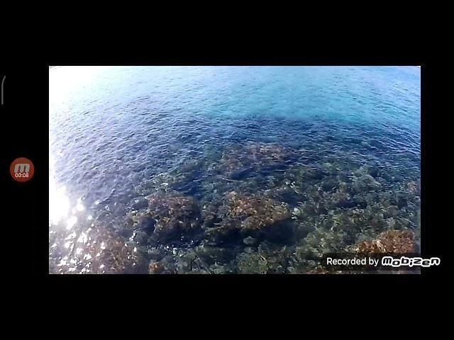 pesca a bolognese a torre delle stelle