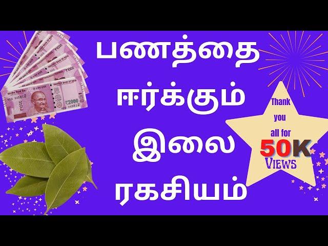 bay leaf ritual for money in Tamil  | பிரியாணி இலை தாந்திரீக பரிகாரம் | Attract Money With bay leaf