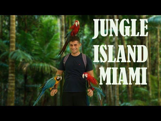 Jungle Island Miami Adventure