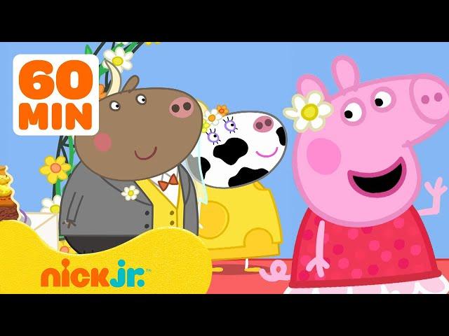 Peppa Pig's Wedding Adventures!  | 60 Minute Compilation | Nick Jr.