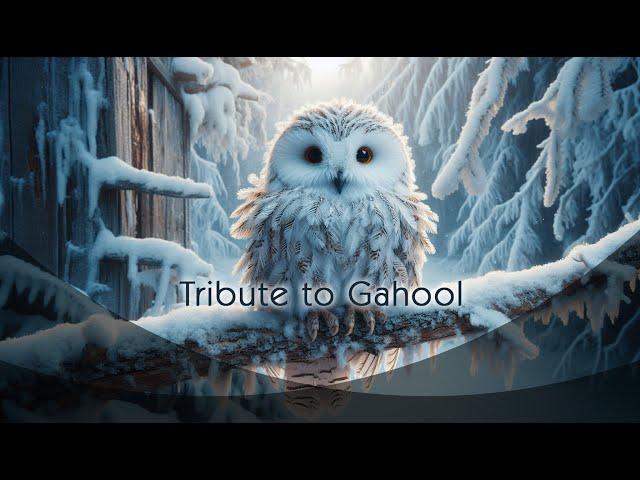 Tribute to Gahool  | Owl life song [En]