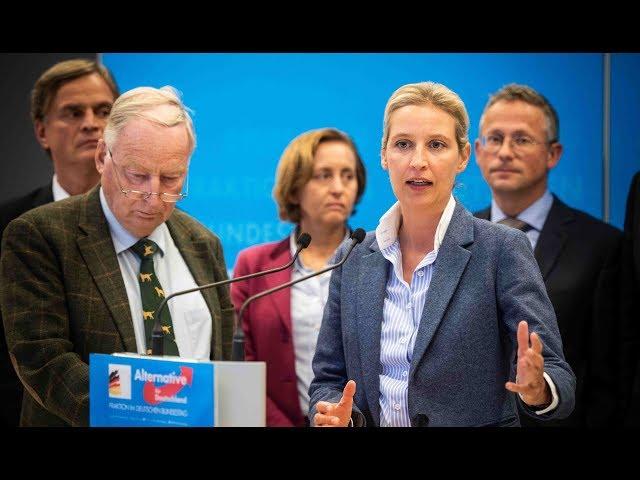 RECHTSPOPULISTEN: AfD startet Propaganda-Serie für Kohle, Diesel und Co.