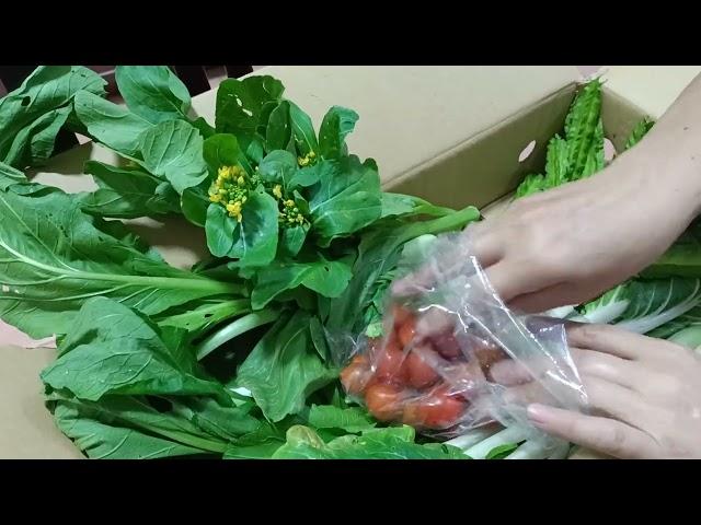 Unboxing fresh organic vegetable from #Terra FarmOrganic#Malaysia#bluehandcarecentre #rawang