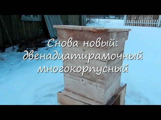 Снова новый: двенадцатирамочный многокорпусный улей.