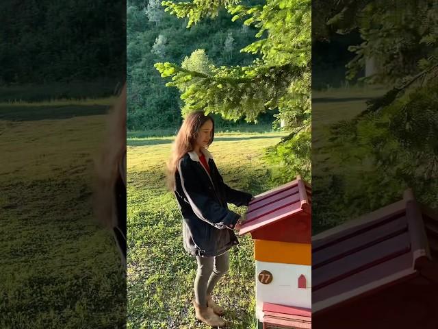 Семейная пасека пчёл Шишкиных! И мне нравится быть частью этого дела  #пасека #мед #пчелы #мёд