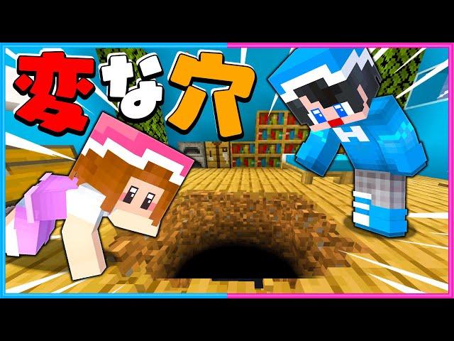 家に変な穴が空いているマインクラフト【 マイクラ / Minecraft  】