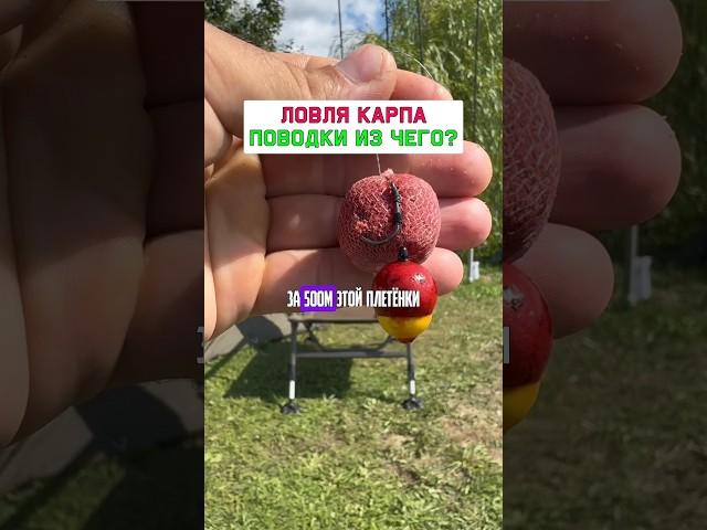 Эффективные поводки на карпа и сазана #карпфишинг