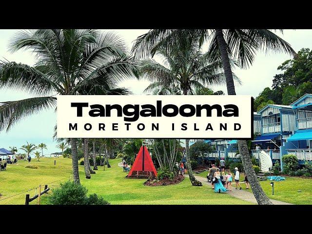 Australia Travel | Tangalooma Island | Moreton Island | 4k 2023