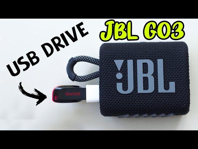 Will a JBL GO 3 work with a flash drive? (2023)