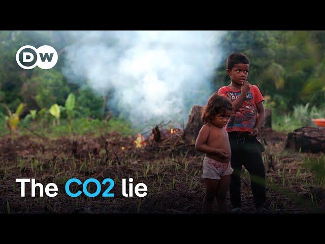 From reforestation to CO2 compensation - Companies' dirty tricks | DW Documentary