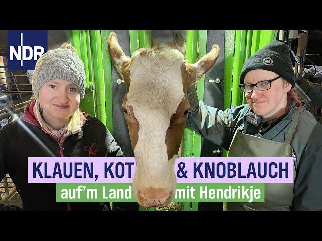 Pediküre auf Hof Rath: 80 Kühe bekommen die Füße schön | Folge 12 | NDR auf'm Land mit Hendrikje