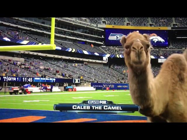 GEICO Hump Day Camel - Game Day (Fox Sports Sideline Reporter)