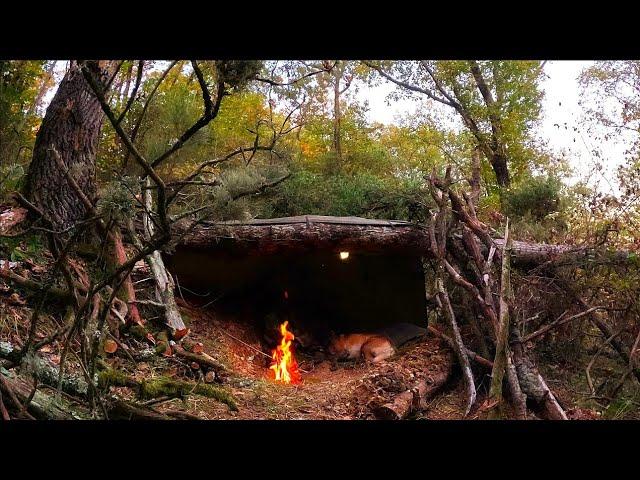 Bushcraft Shelter UNDER FALLEN TREE - Solo Survival Camping, Outdoor Cooking, Documentary, DIY, ASMR