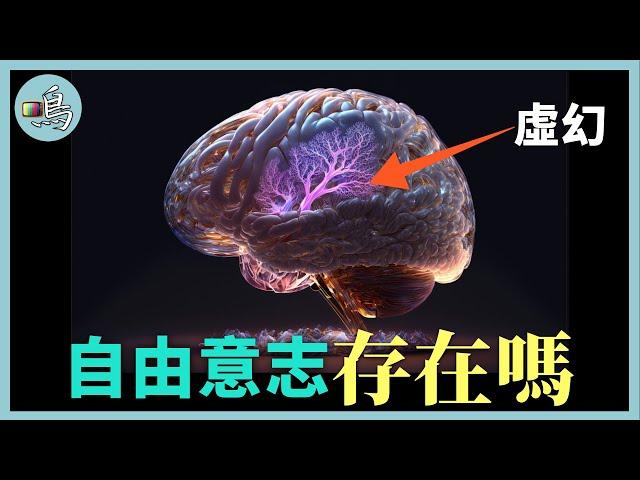 人的命運是上天注定嗎？ 耗時200年，數十位頂尖科學家終於發現答案 l 老鳴TV