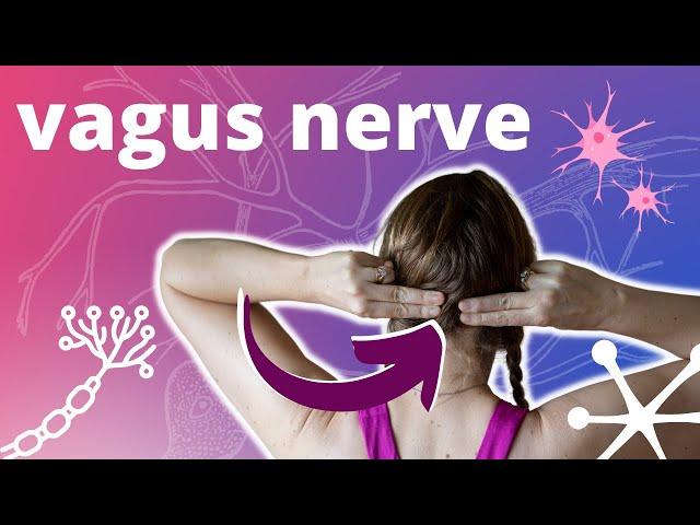 Vagus Nerve Massage for Stress & Anxiety Relief