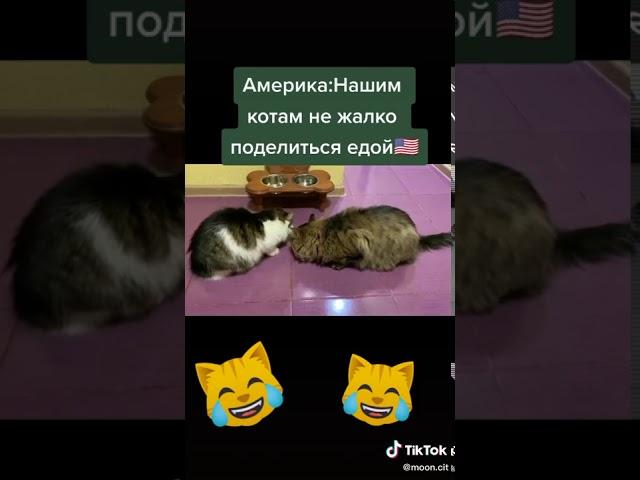 19 сентября 2020 г.