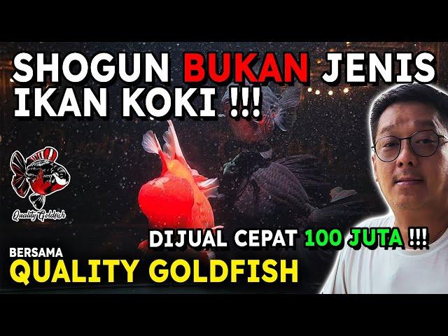 IKAN KOKI SHOGUN DIJUAL SEHARGA 100 JUTA !!! PENJELASAN MENGENAI SHOGUN!!!