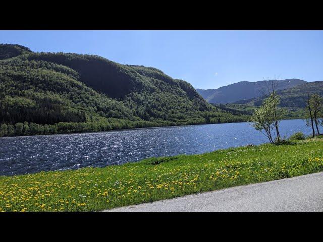 Два отводка в одном корпусе. Два отводка для сбора меда в один медовый корпус