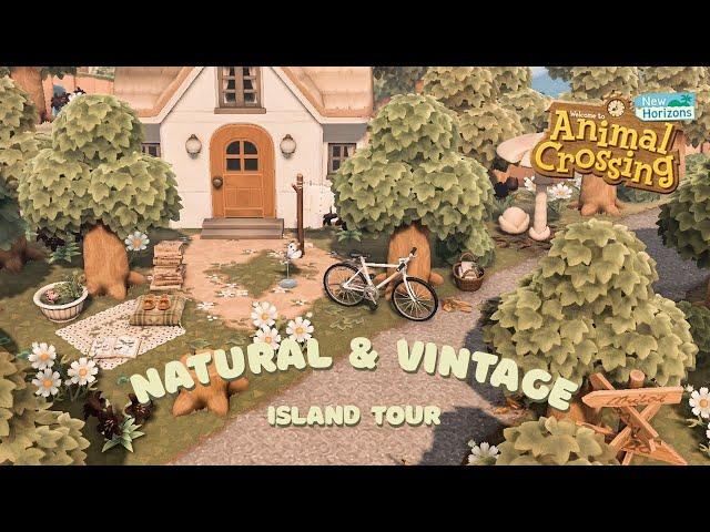 Vintage & Whimsical Natural Island Tour // Animal Crossing New Horizons