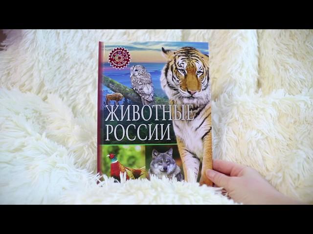 Животные России | Популярная детская энциклопедия | Владис