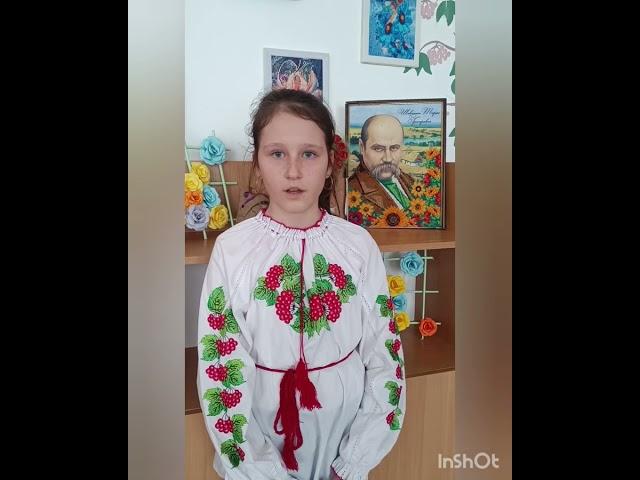 Несвіт Дарина