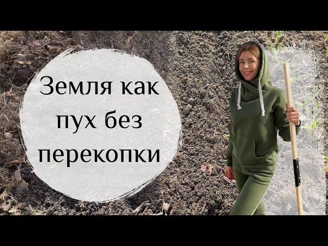 Рыхлая, плодородная земля без перекопки. Сею морковь в некопанную грядку