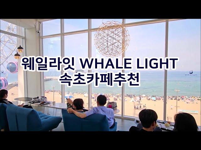 [웨일라잇] WHALE LIGHT 속초카페 가볼만한곳, 속초여행, Sokcho Tour