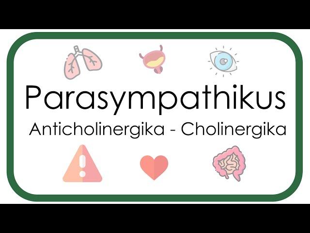 Parasympathikus –  Pharmakologie (Anticholinergika: Atropin, Scopolamin - Cholinergika: Neostigmin)