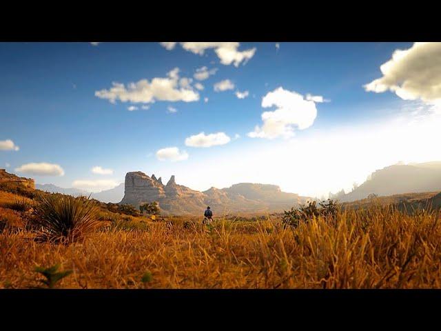 Heart Plains, Big Trees And Autumn Vegetation Trailer  (RDR2)