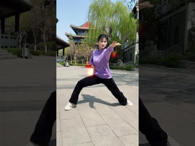 The Explosive Power of Tai Chi. #taichi #taijiquan #kungfu #shorts