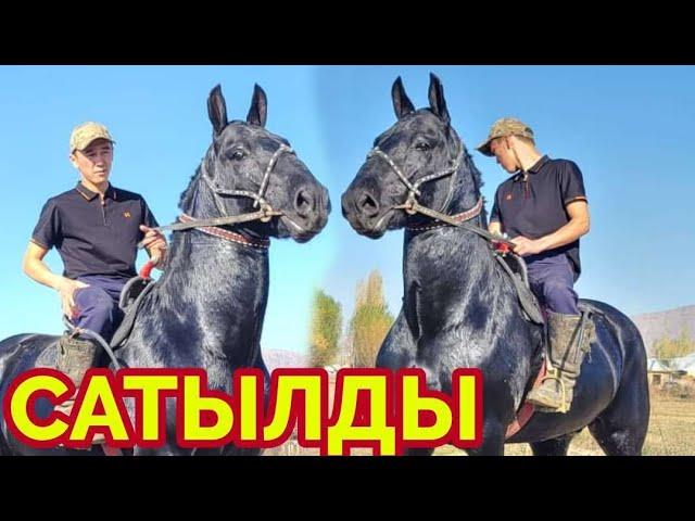 Паай Паай ДУБАЙ Чыкты САТЫЛДЫ️ Рекорд