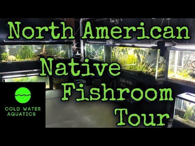 North American Native Fishroom Tour