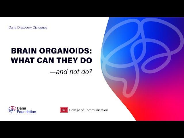 Brain Organoids: What Can They Do and Not Do? - A Dana Discovery Dialogues Series