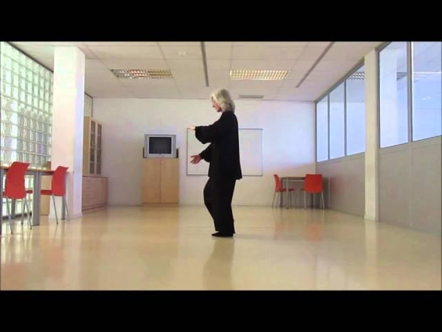 Tai chi 16 Form Yang style