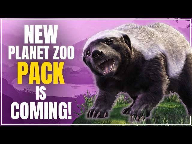 New Planet Zoo DLC Incoming?! Rainforest Speculation & Wishlist!