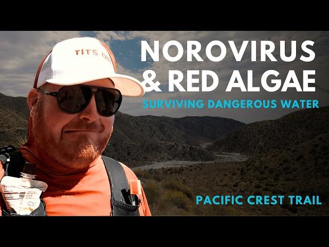 Norovirus, Red Algae & Hurricane Damage: Surviving the Pacific Crest Trail