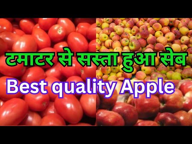 Best quality Apple ! सुबह सुबह सेब की खरीददारी ! टमाटर से सस्ते हुए सेब ! Best quality lowest price