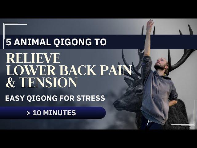 Relieve Lower Back Pain & Tension with Deer Qigong | Easy Qigong for Stress