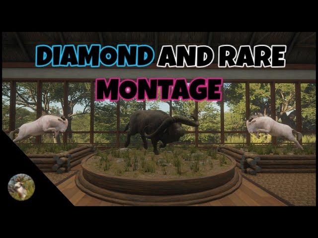 Diamond And Rare Montage | theHunter Call of the Wild