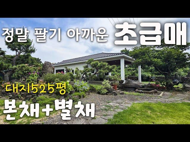 (H-273) 제주도 초급매. 회장님의 별장같은 본채 별채가 있는 단독주택 매매. 500평이 넘는 대지에, 조경만 해도 1억 이상 들었을 멋진 정원이 있는 숲속 전원주택 매매