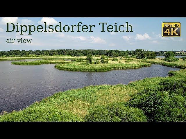 Dippelsdorfer Teich Luftansicht/ Dippelsdorfer Pond air view (4K Ultra HD)