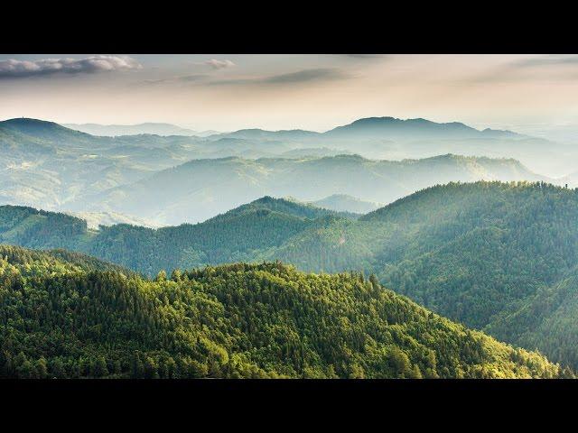 Vier Jahreszeiten im Nationalpark Schwarzwald