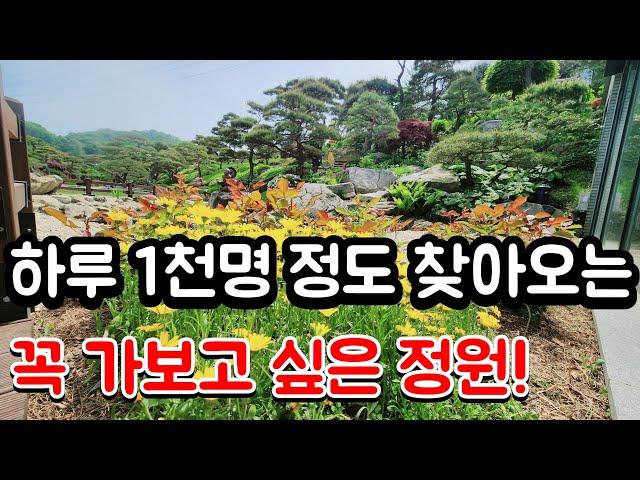 하루 1천명이 찾아오는 꼭 가보고 싶은 정원 #여행 #카페 #정원가꾸기