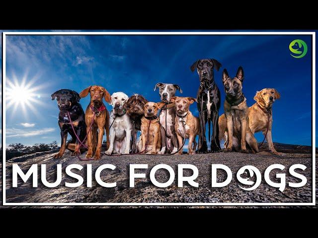 Music For Dogs to Relax & Sleep | Dog Music Therapy | Calming Aid for Dog Relaxation